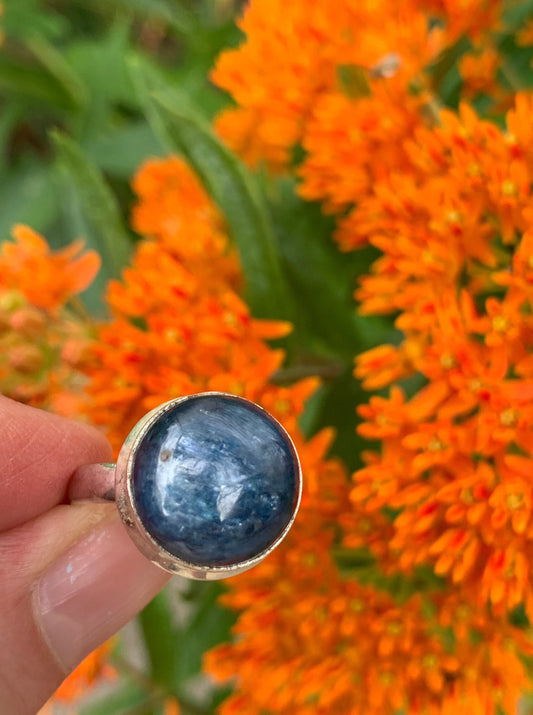 Blue Kyanite Ring size 8