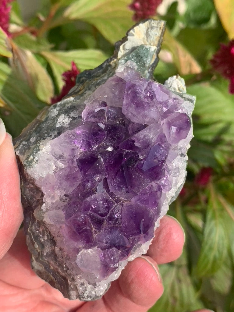 Amethyst Cluster with Goethite Inclusions