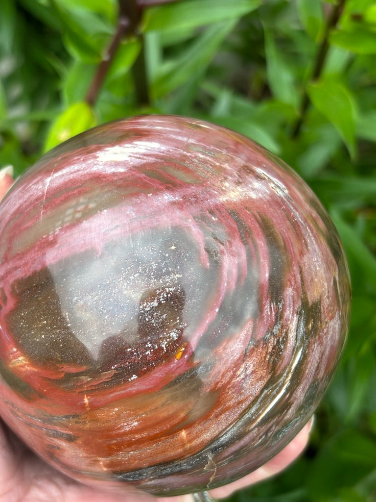 Petrified Wood Sphere - Madagascar
