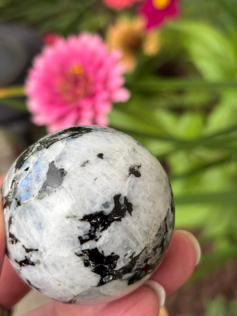 Rainbow Moonstone - Sphere | India