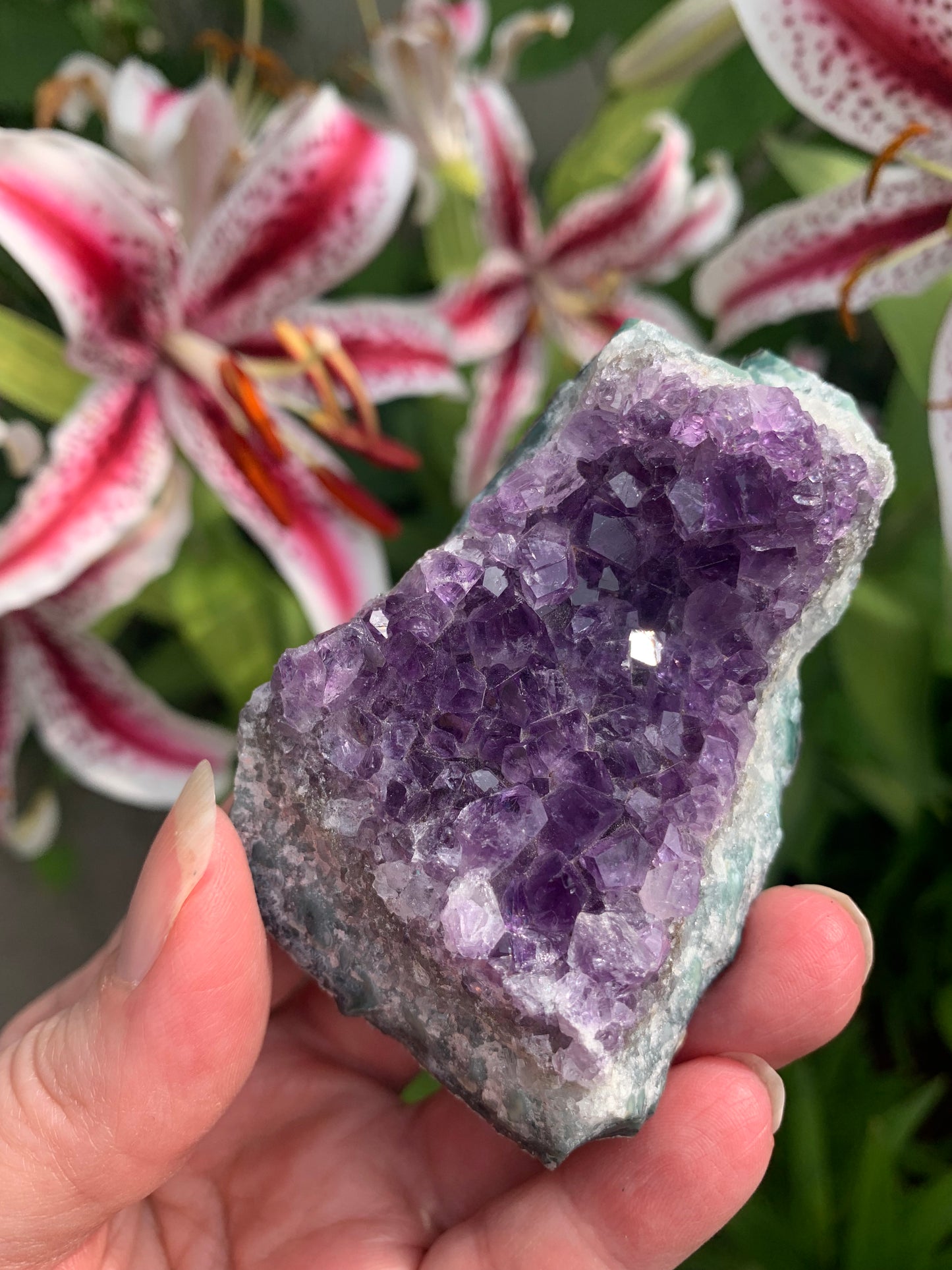 Amethyst Cluster