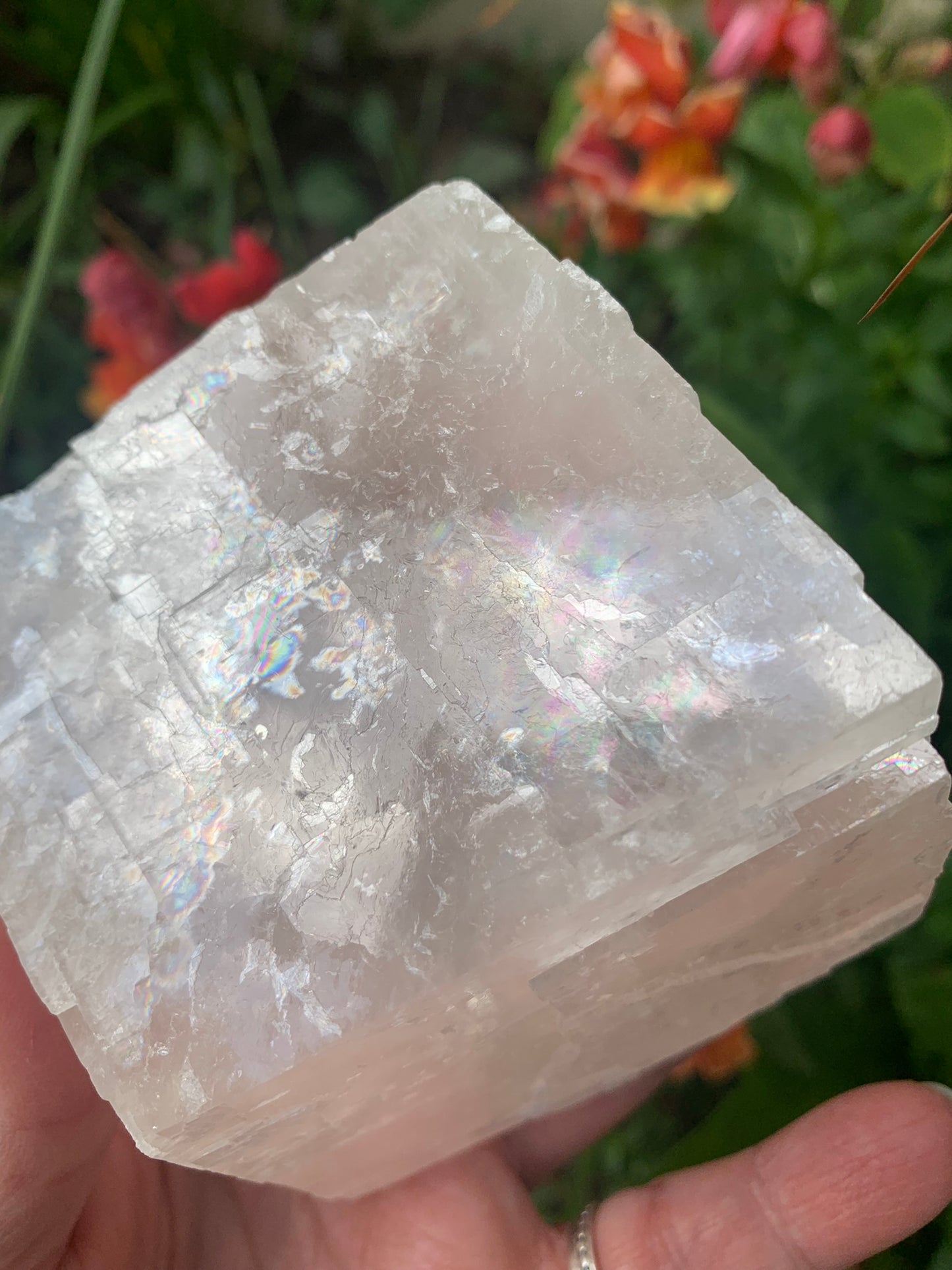 Pink Optical Calcite - Mexico