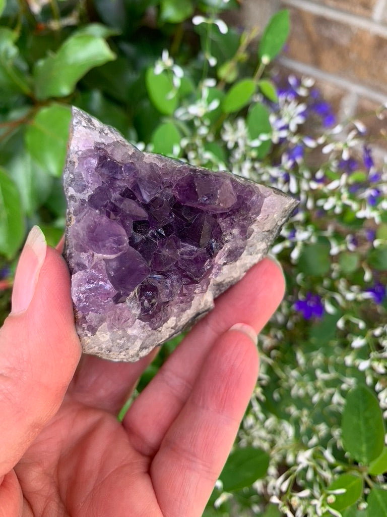 Amethyst Cluster