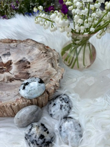 Rainbow Moonstone - Palm Stone | India