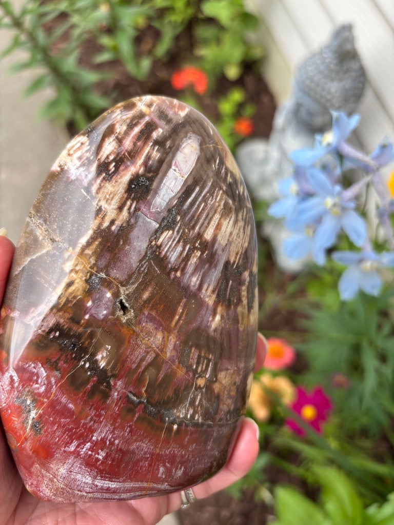 Petrified Wood - Free Form - Madagascar