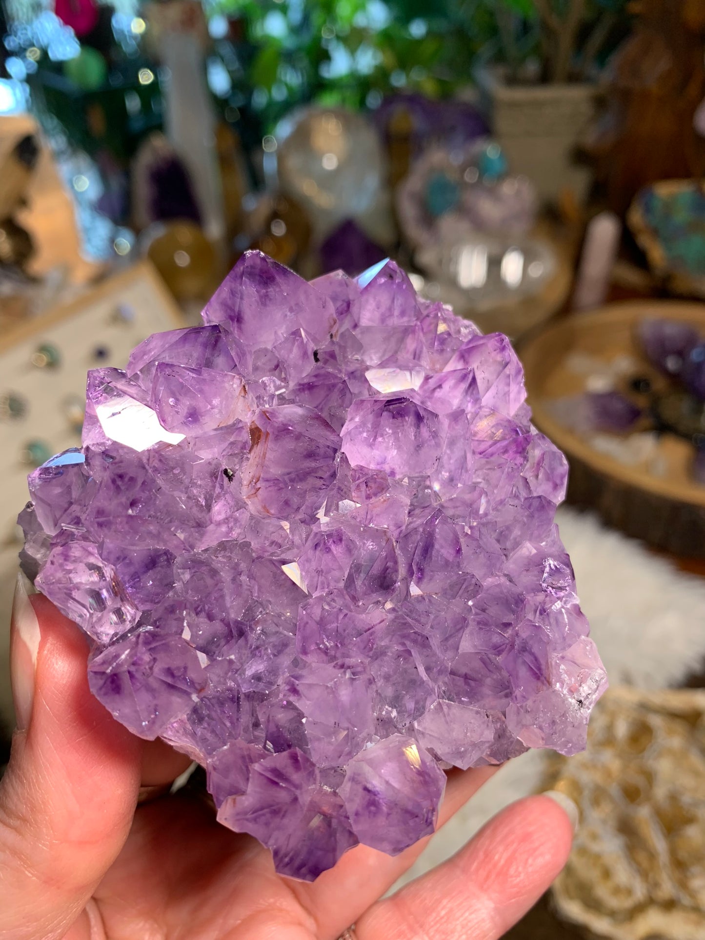 Phantom Amethyst - Cluster - Brazil