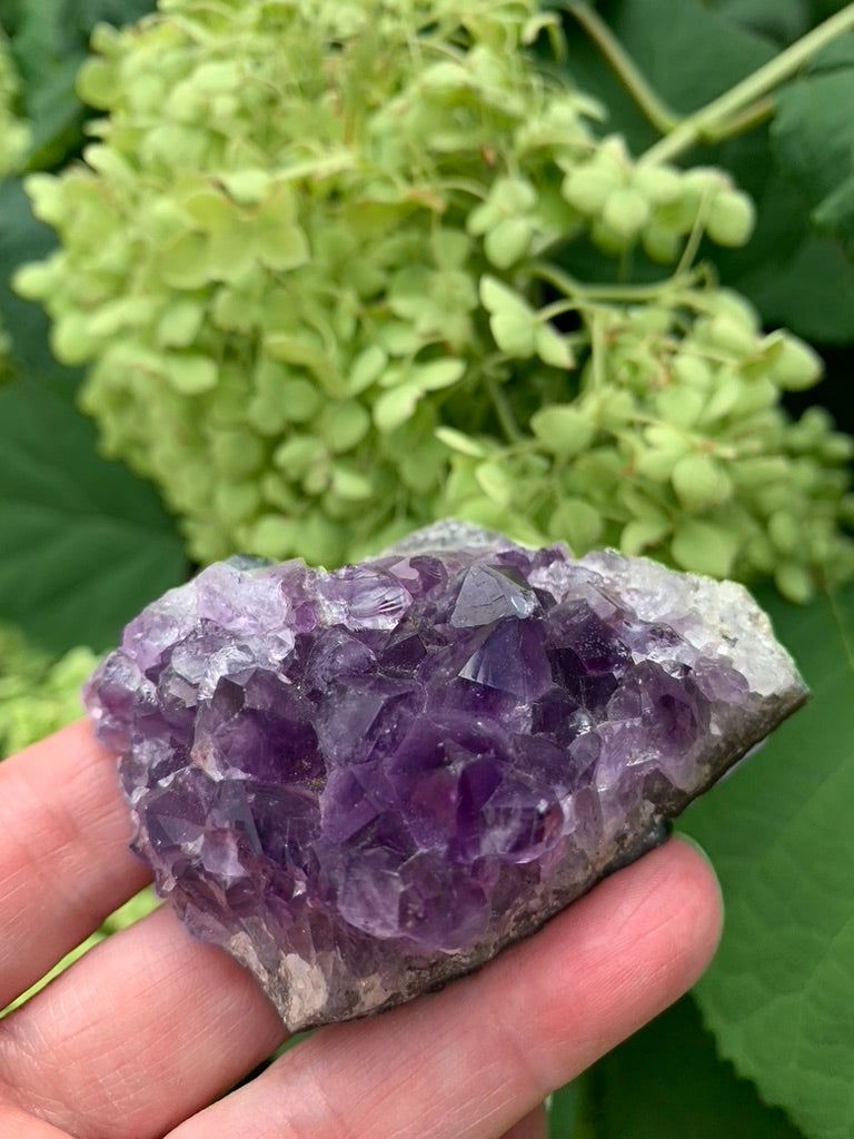 Amethyst Cluster