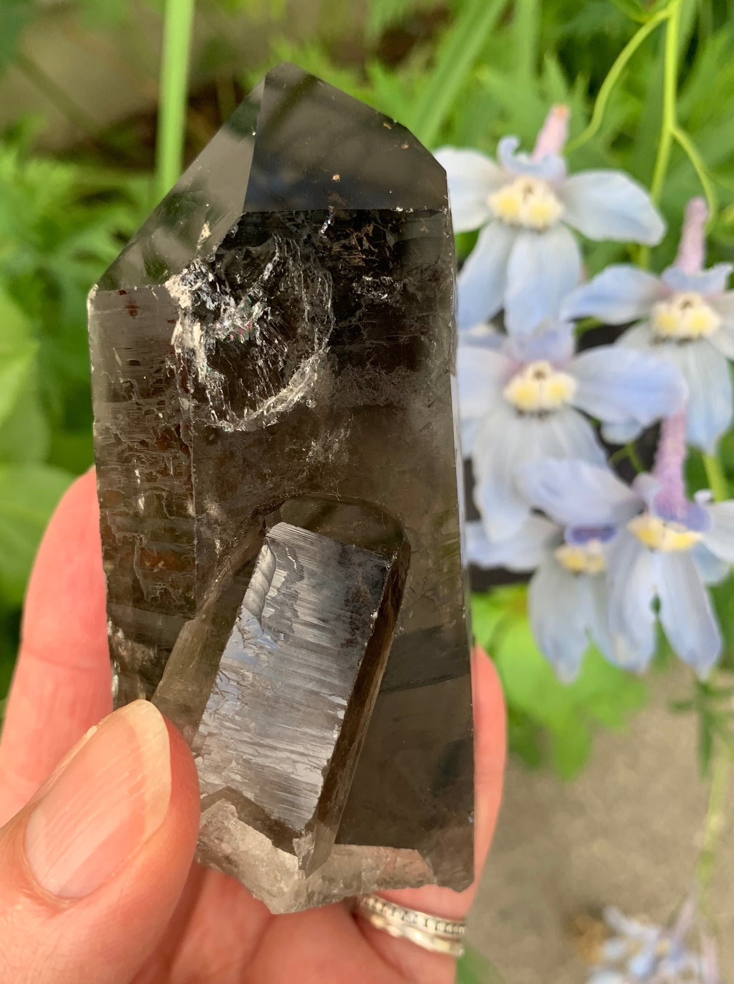 Smokey Quartz Cluster - Brazil