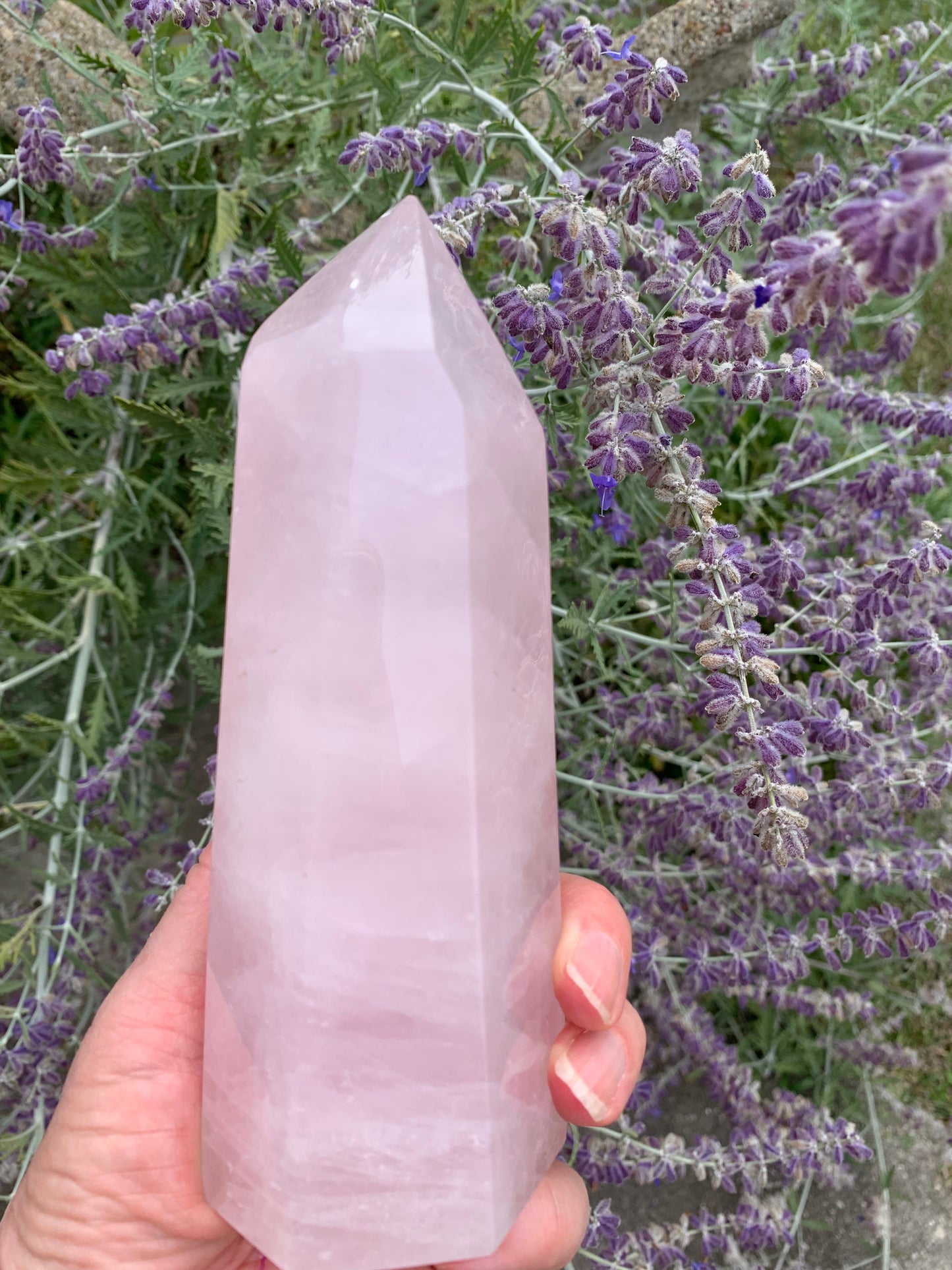 Rose Quartz Generator - Madagascar