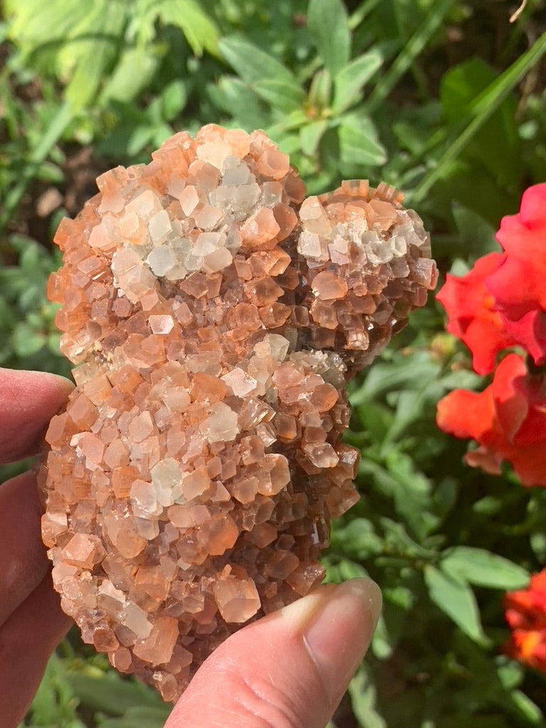 Star Aragonite Cluster