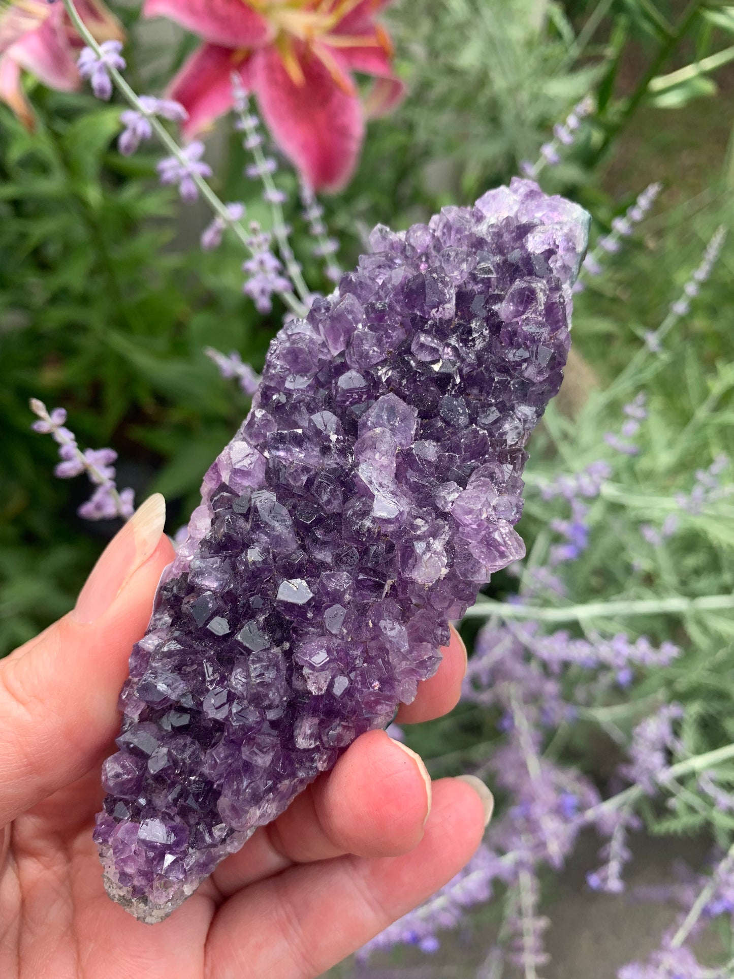 Amethyst Cluster