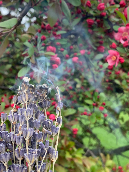 Lavender Smudge Bundle