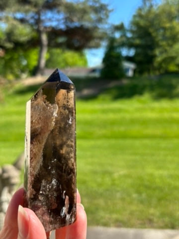 Smokey Quartz with Garden and Rutile