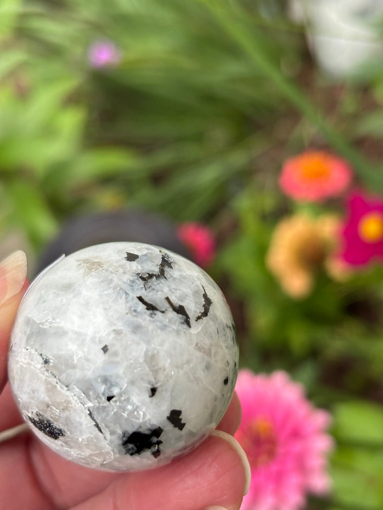 Rainbow Moonstone - Sphere | India