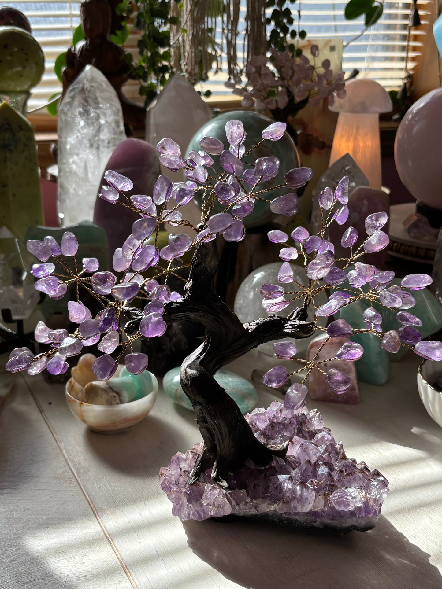 Amethyst Tree on Cluster - Medium - Brazil