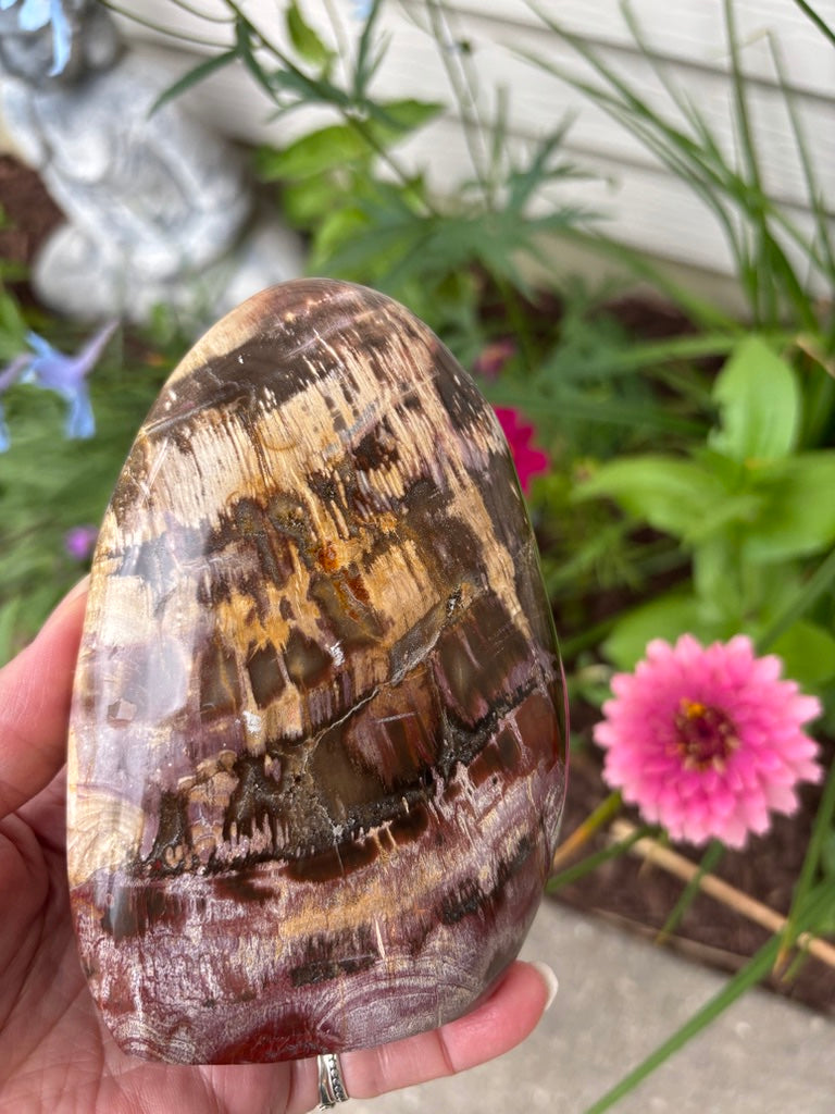 Petrified Wood - Free Form - Madagascar
