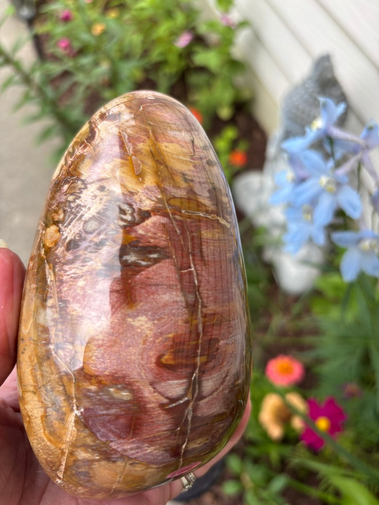 Petrified Wood - Free Form - Madagascar