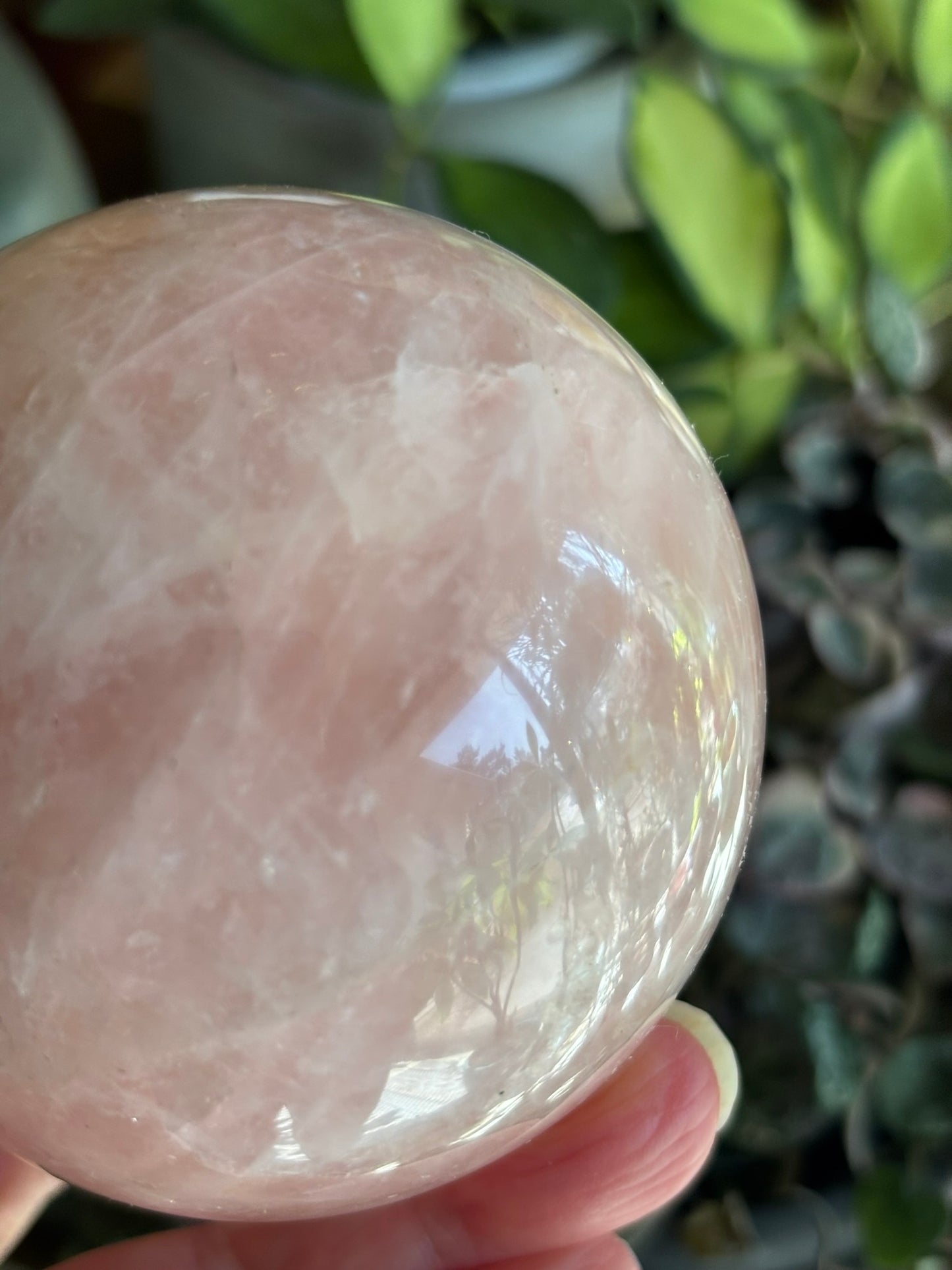 Rose Quartz | Sphere | Madagascar