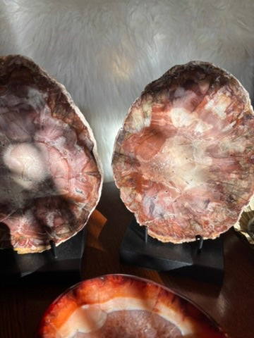 Petrified Wood charging plate set - Madagascar