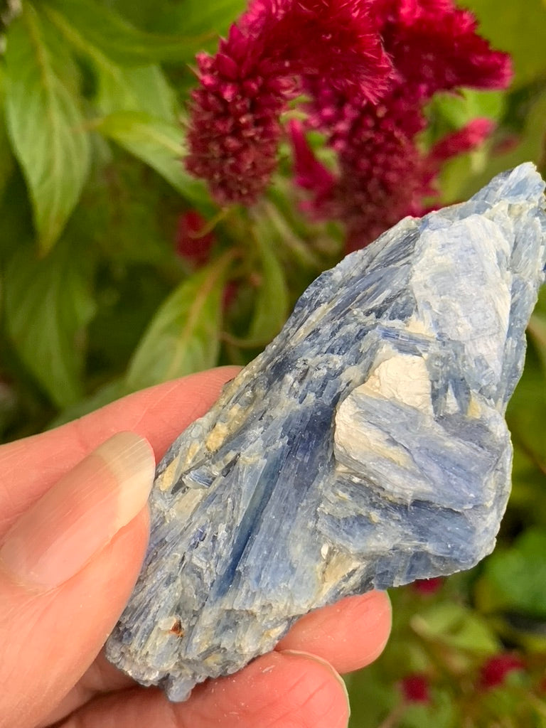 Blue Kyanite with Quartz and Garnet Inclusions natural - Brazil