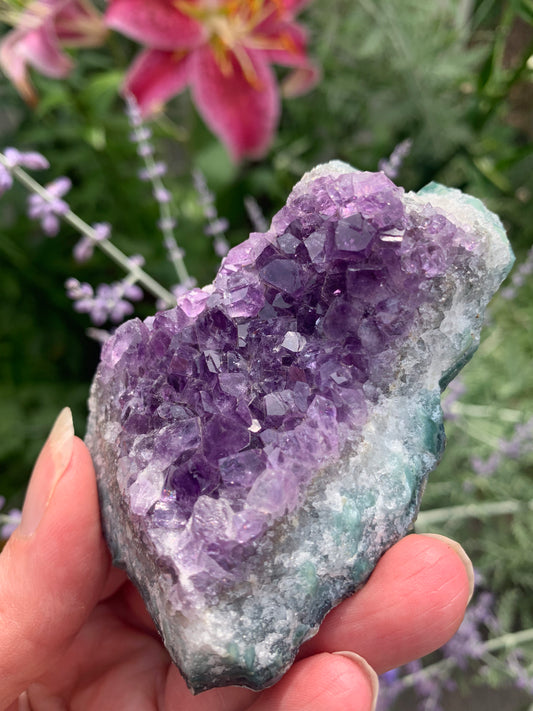 Amethyst Cluster