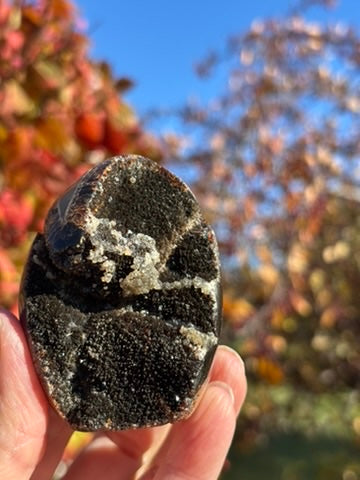 Septarian Druzy Dragon Egg - Madagascar