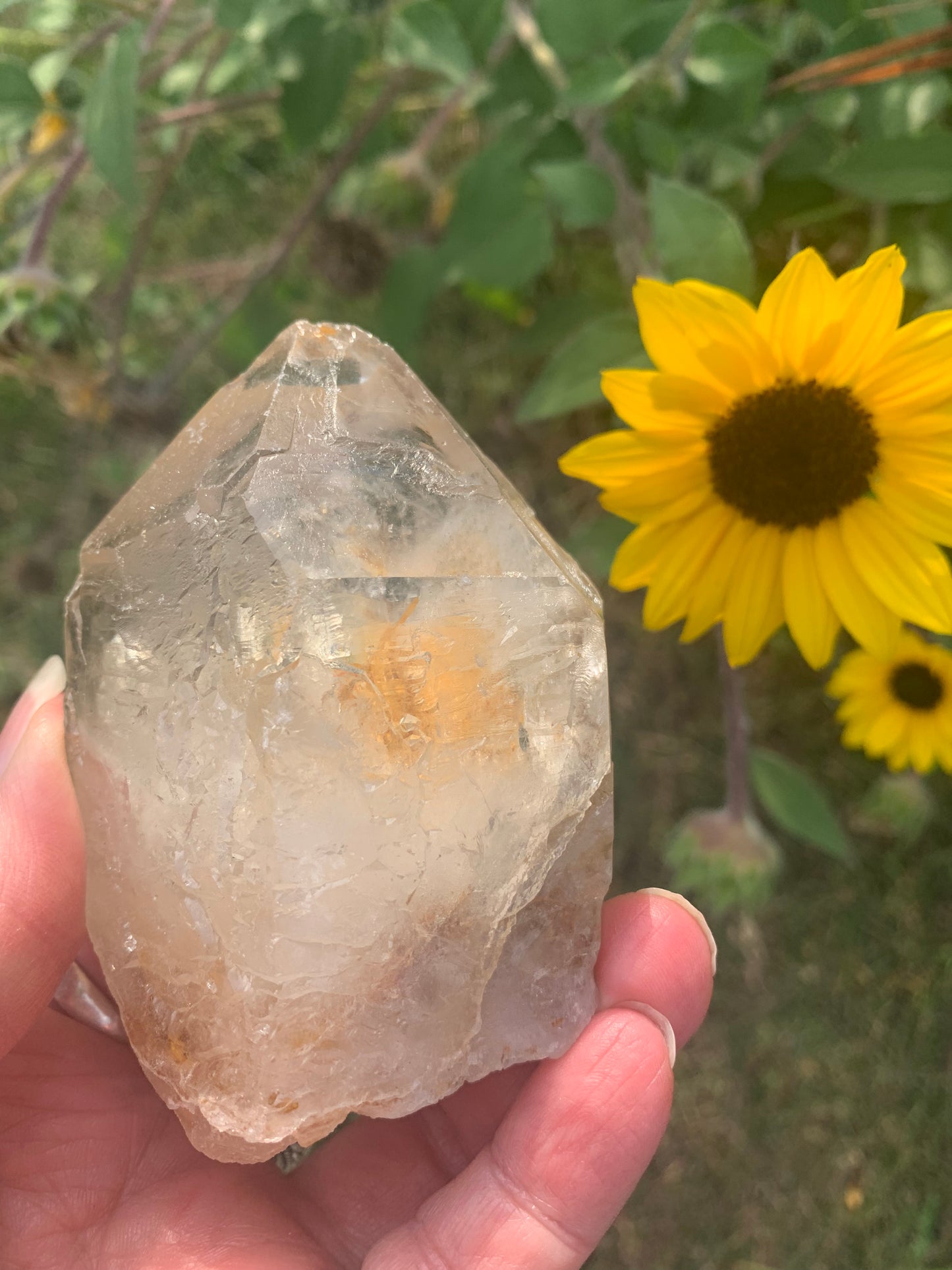 Rainbow Lemurian Smokey Quartz Point with inclusions