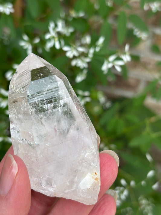 Columbian Lemurian Quartz point