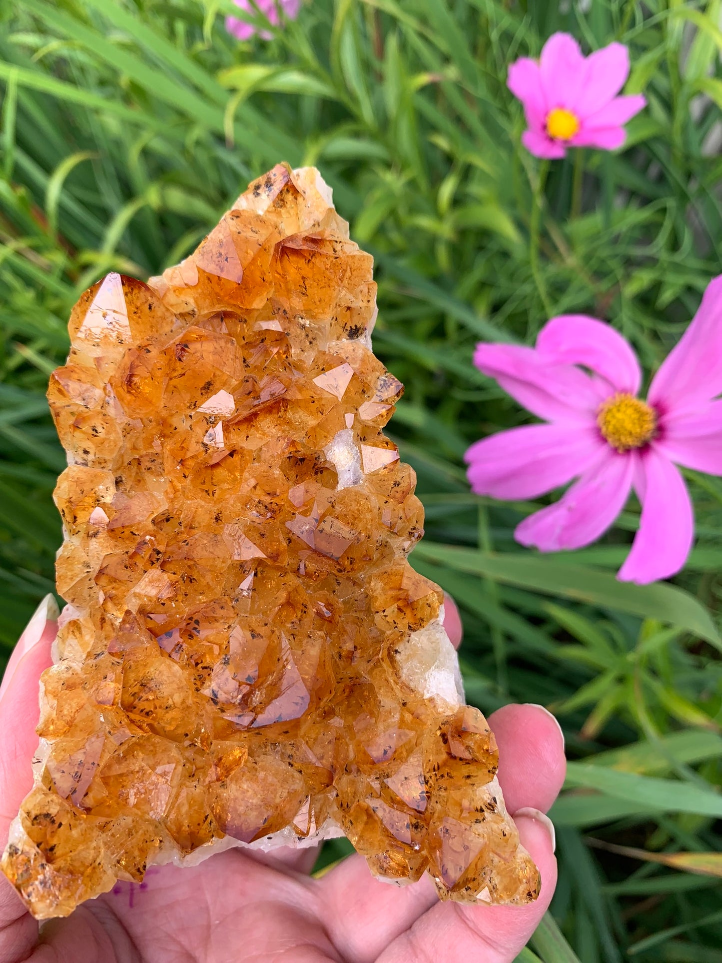 Golden Amethyst - Citrine Cluster - Madagascar