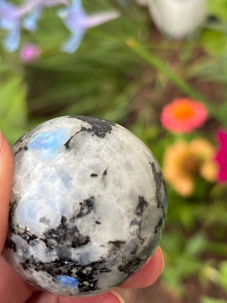 Rainbow Moonstone - Sphere | India