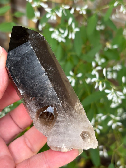 Smokey Quartz Point  - Brazil