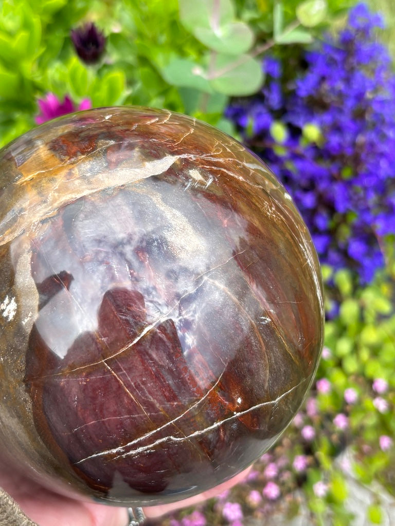 Petrified Wood Sphere - Madagascar