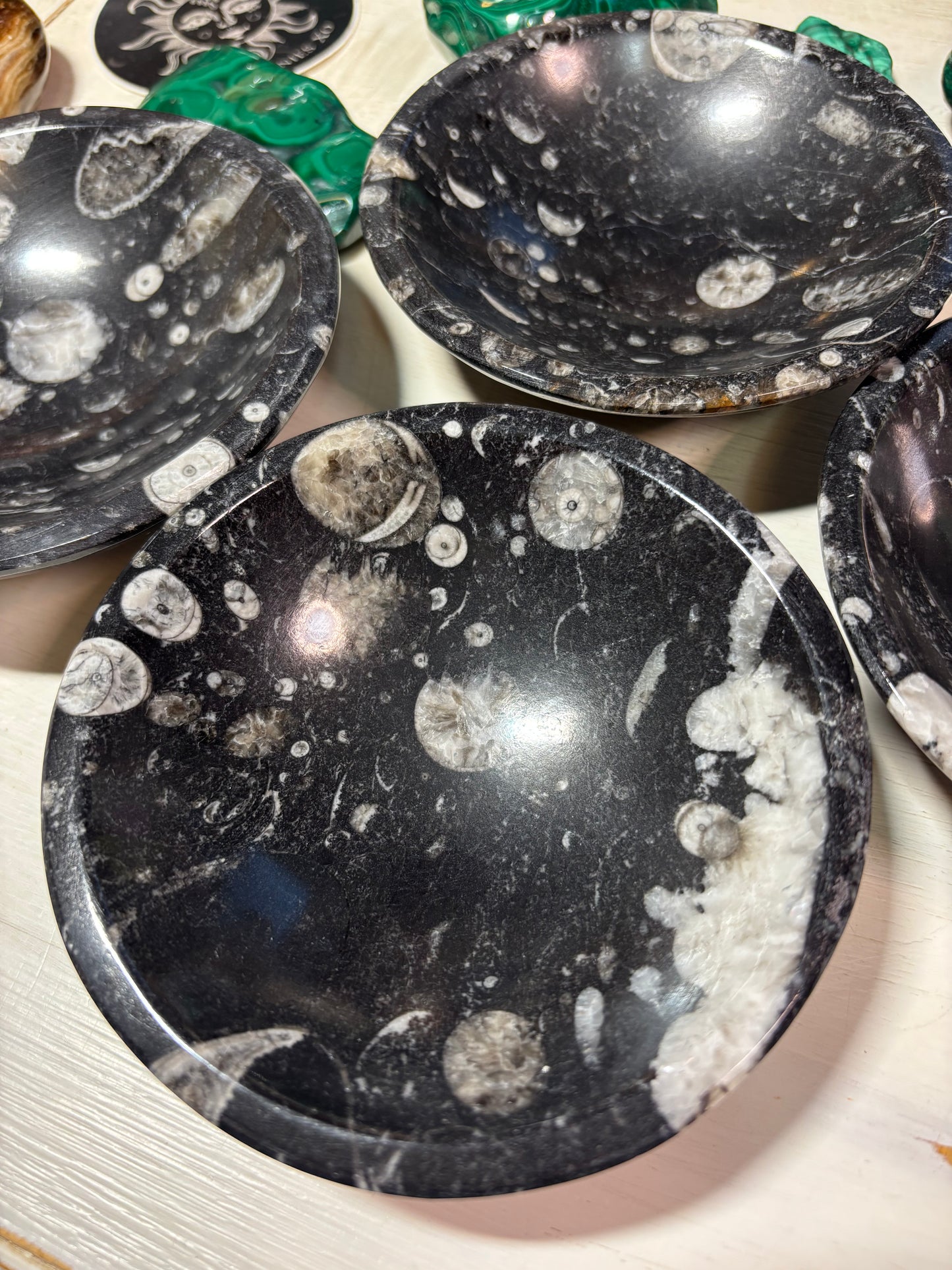 Orthoceras Bowl | Morocco
