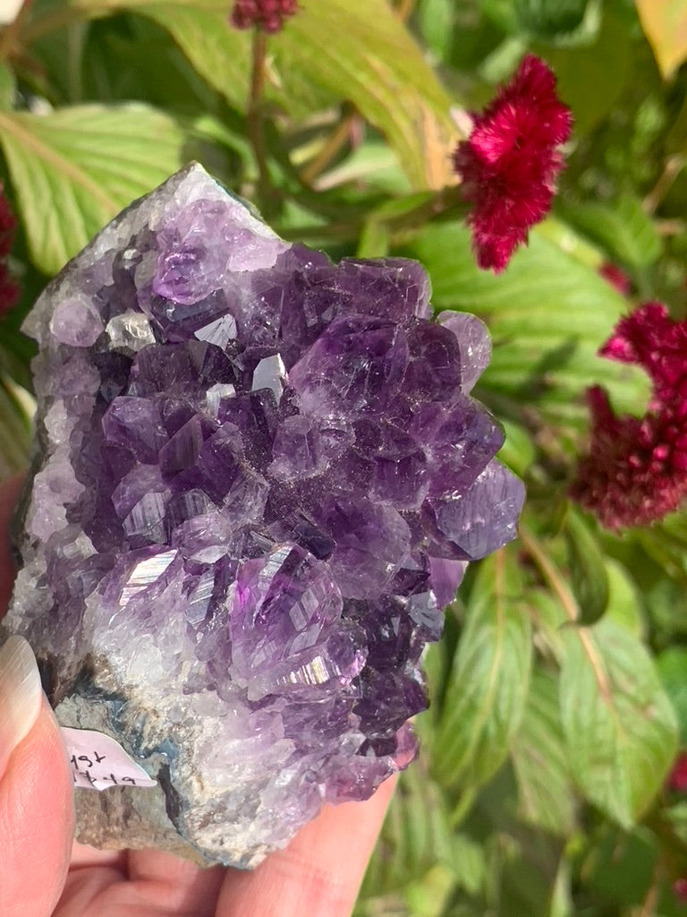 Amethyst Cluster