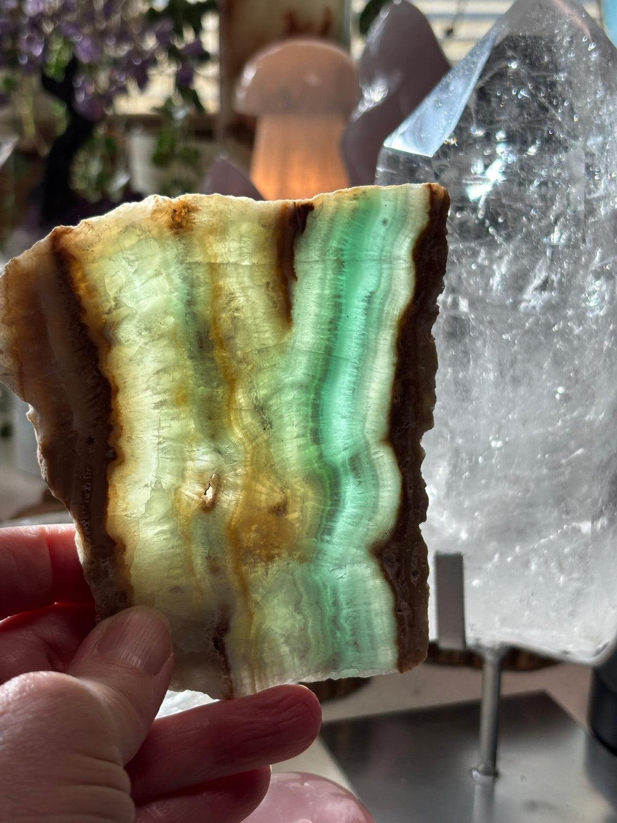 Caribbean Calcite - Slab