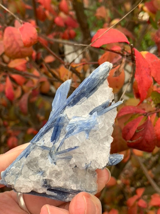 Blue  Kyanite with Quartz natural - Brazil