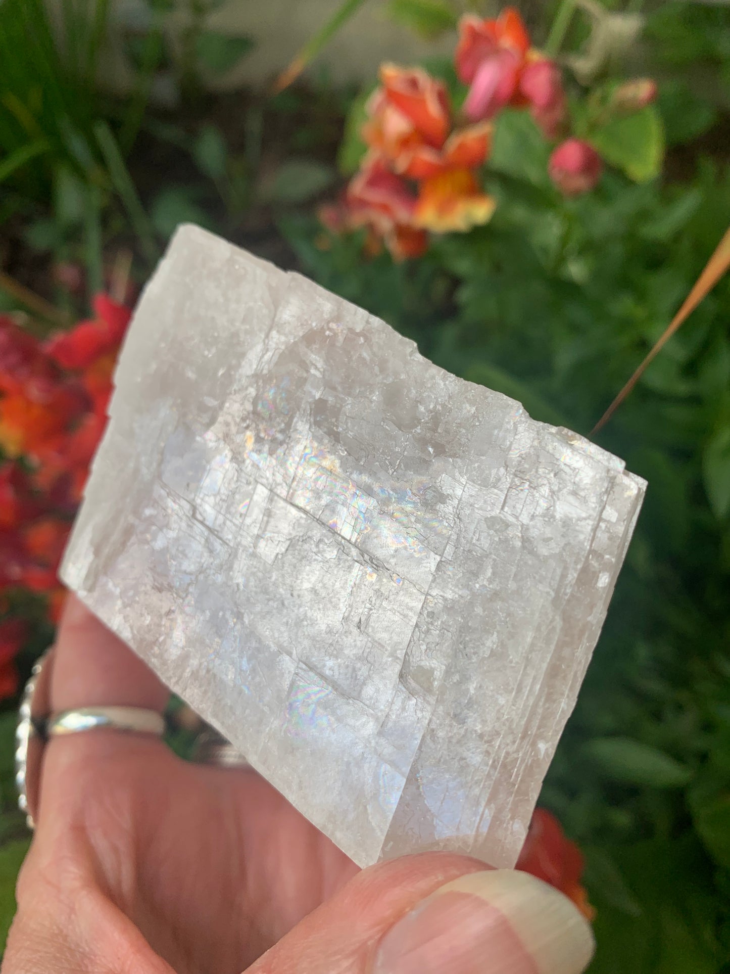 Pink Optical Calcite - Mexico