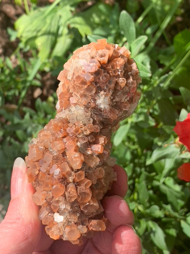 Star Aragonite Cluster