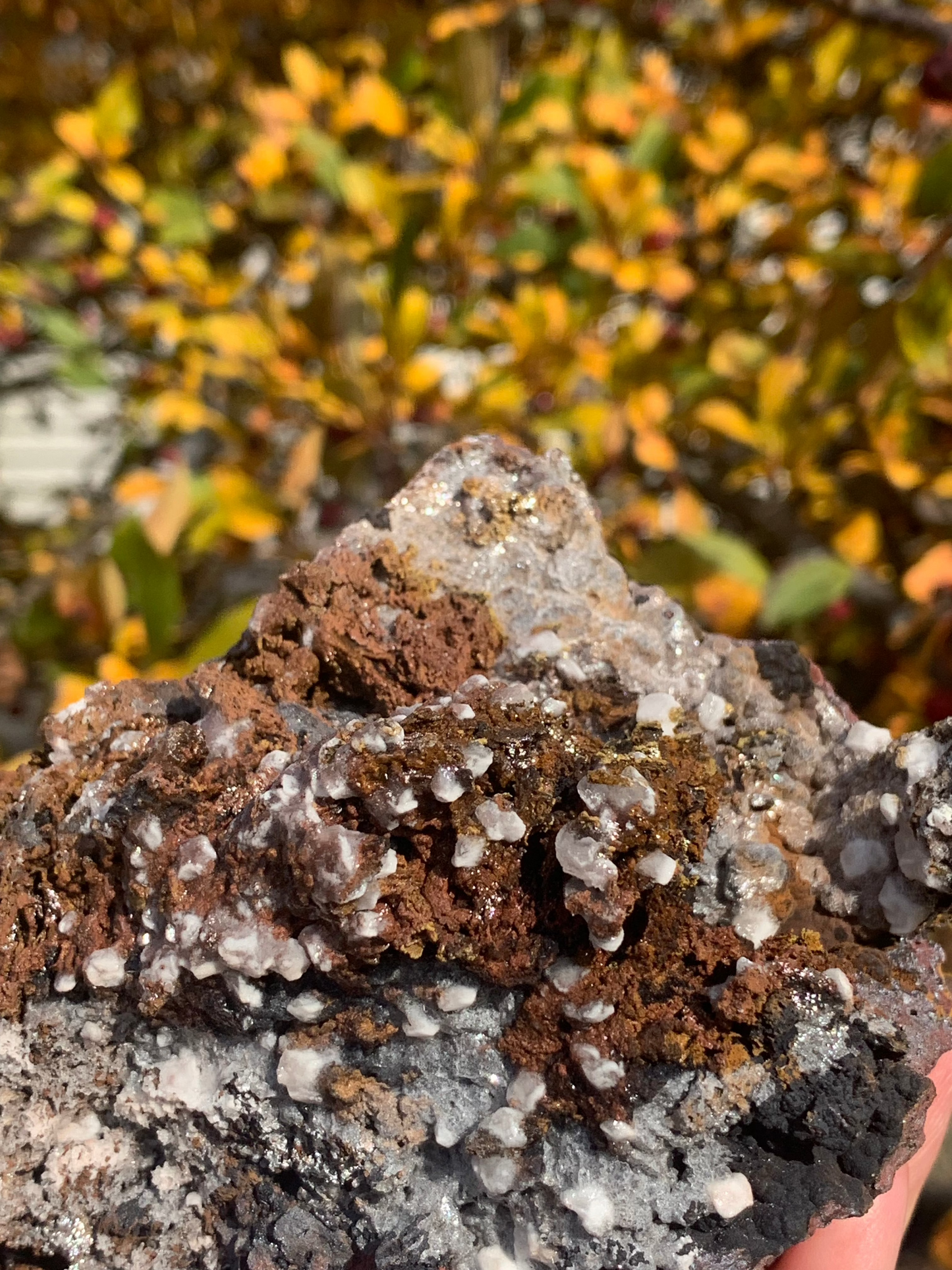 Goethite and Calcite with inclusions Cluster - Morocco