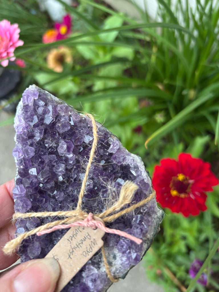 Amethyst Cluster | Uruguay