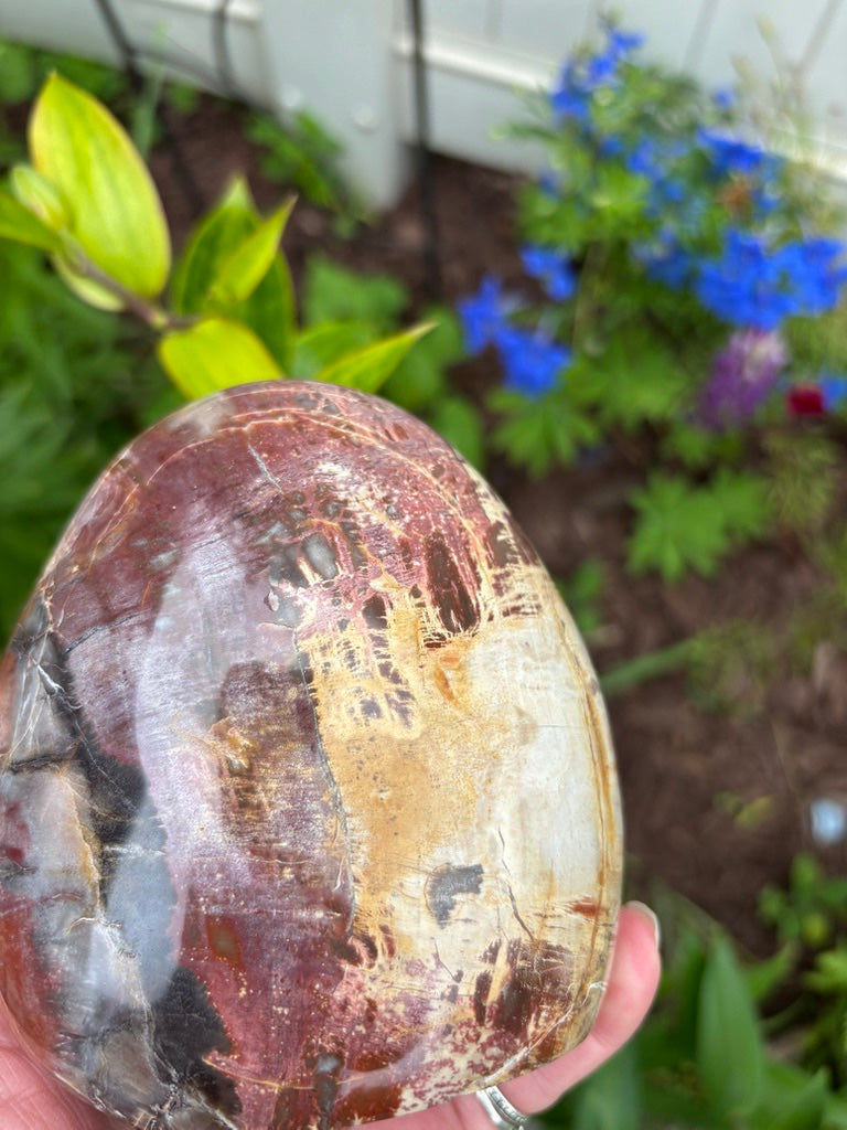 Petrified Wood - Free Form - Madagascar