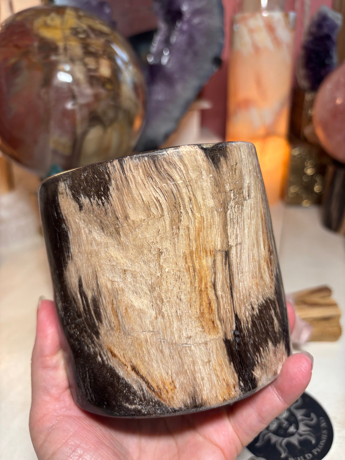 Petrified Wood Sphere Stand - Indonesia