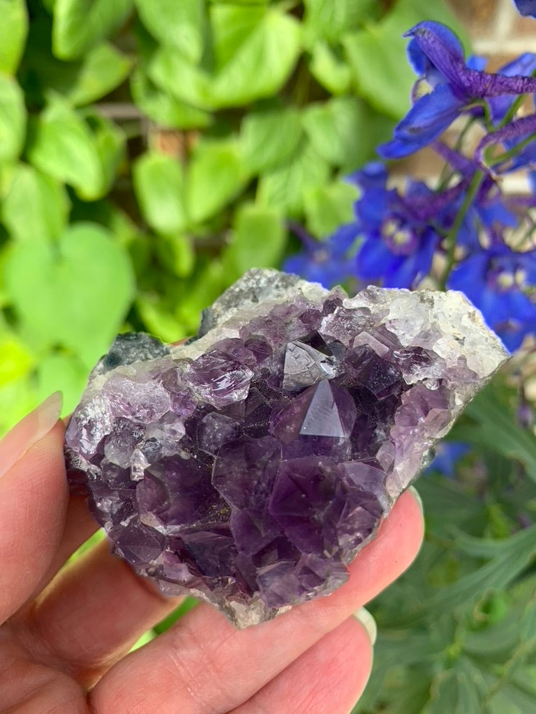 Amethyst Cluster