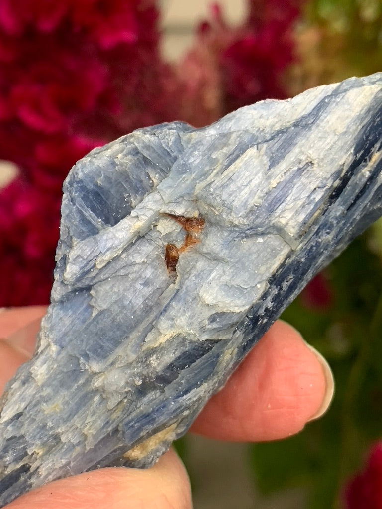 Blue Kyanite with Quartz and Garnet Inclusions natural - Brazil