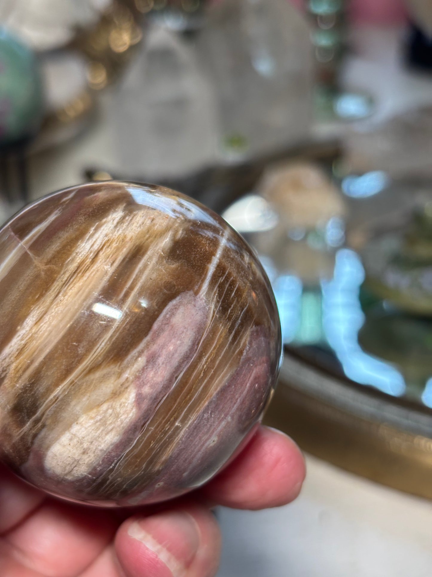 Petrified Wood Sphere - Madagascar