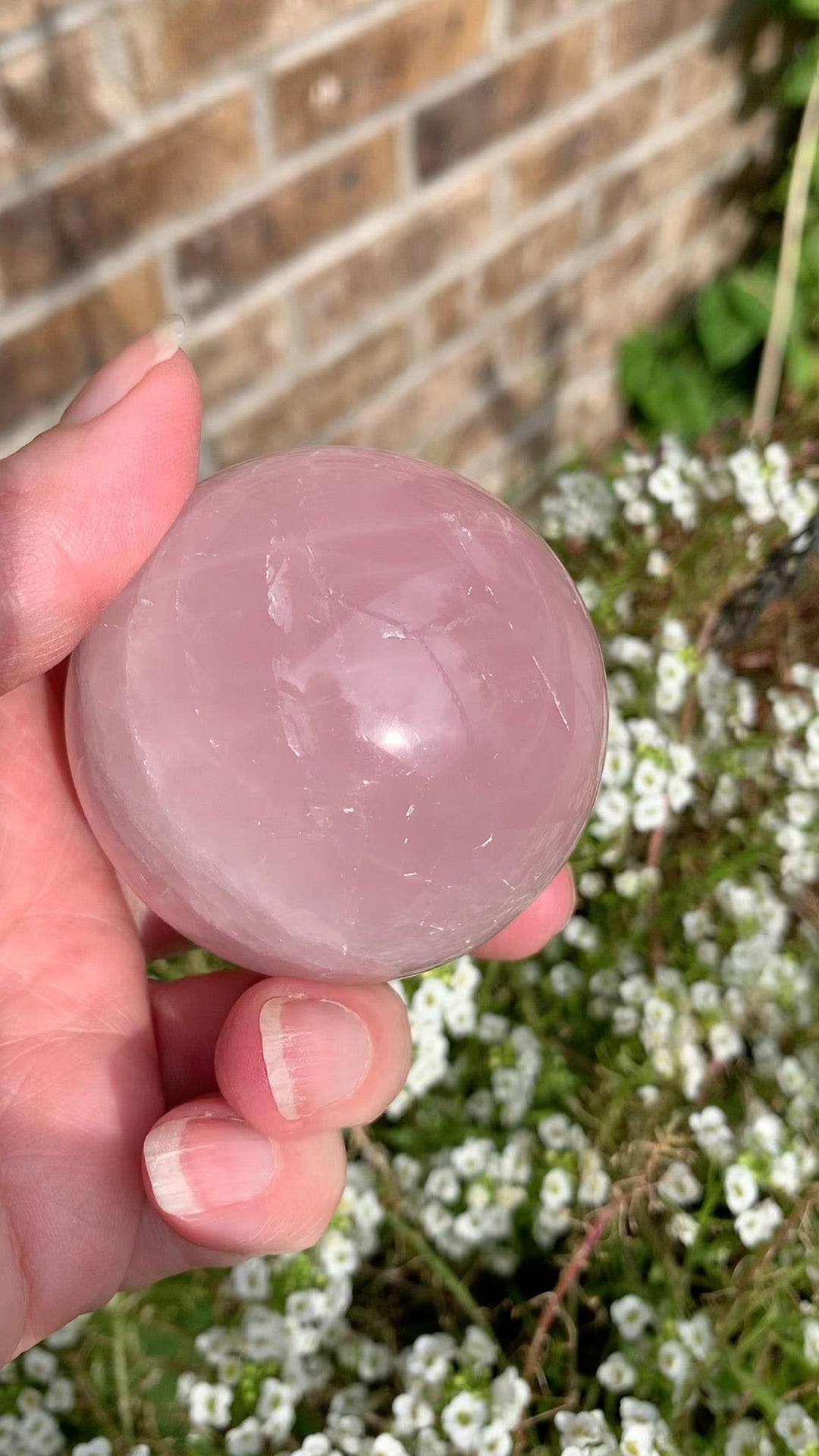 Star Rose Quartz Sphere