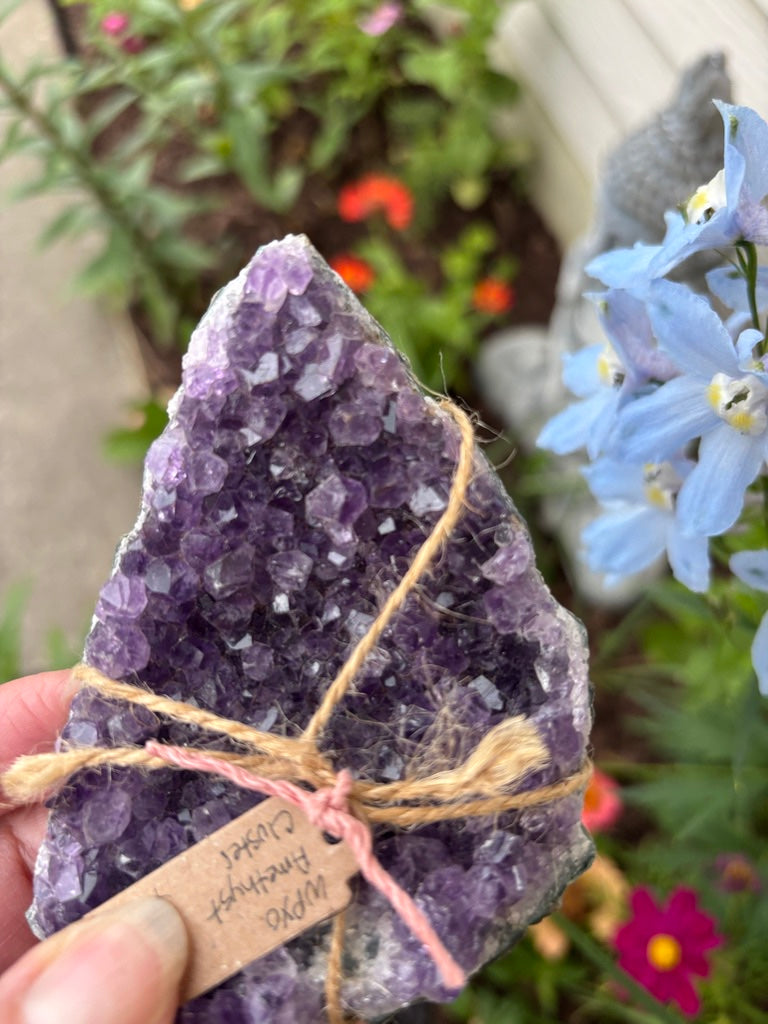 Amethyst Cluster | Uruguay