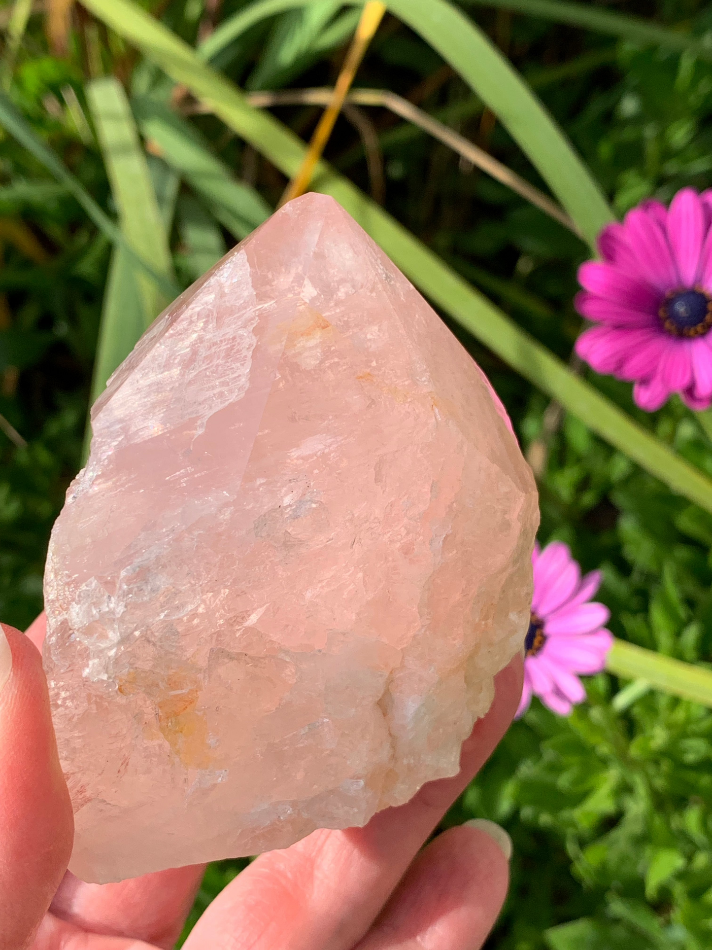 Rose Quartz Point with Golden Healer Inclusions