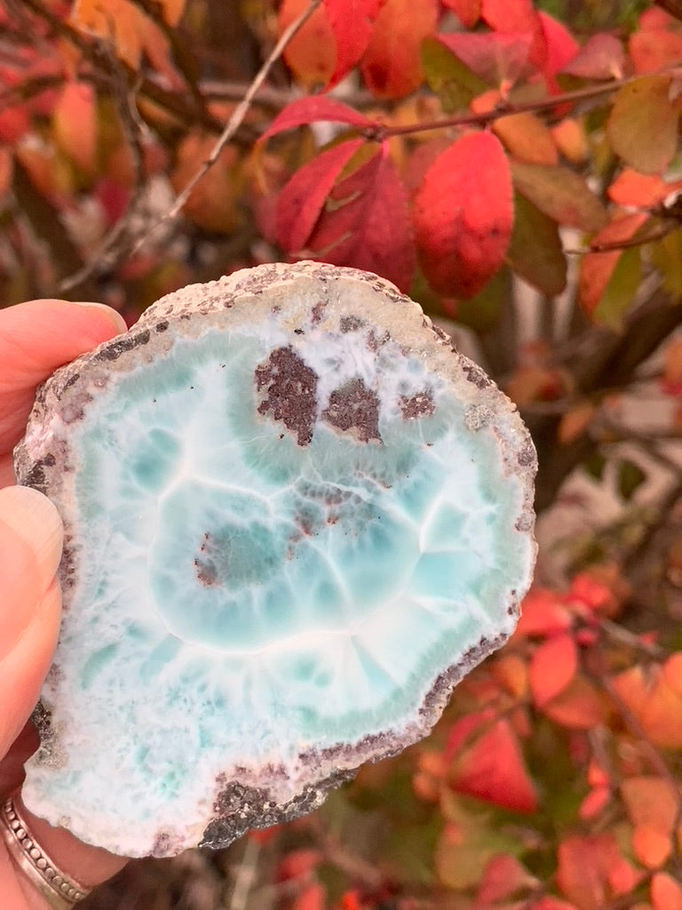 Larimar Slice - Polished one side