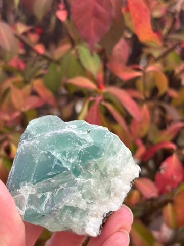Fluorite - Mexico